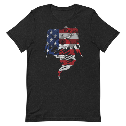 STORM IT UP USA Unisex t-shirt