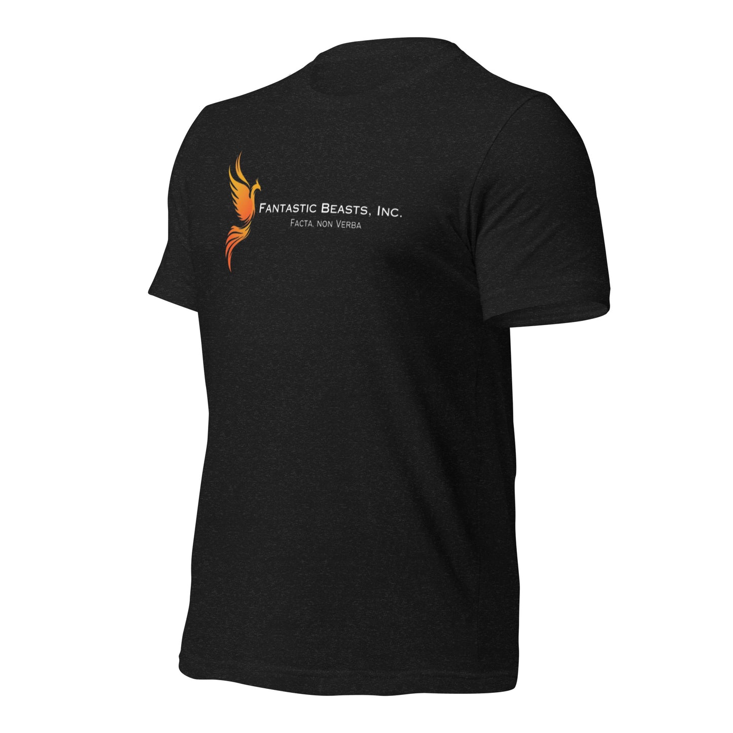 FANTASTIC BEASTS BLK Unisex t-shirt